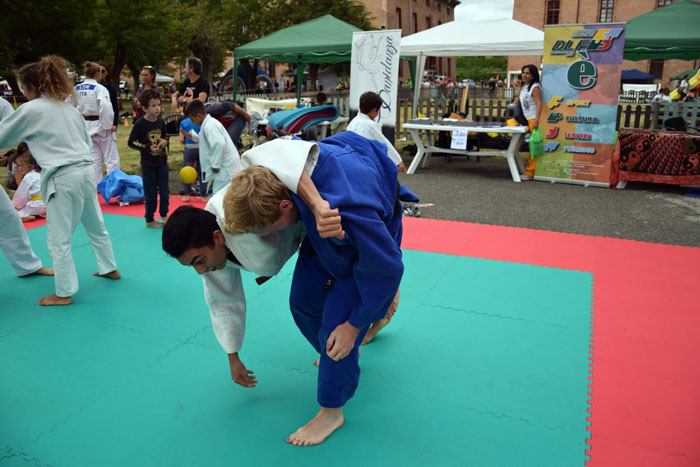 Alessandria, sabato 9 e domenica 10 giugno 2018, Judo DLF Alessandria organizza un evento sportivo
