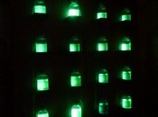 Batteri bio luminescenti: simulando