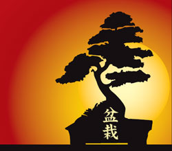 XVI Congresso Nazionale Istruttori Bonsai e Suiseki