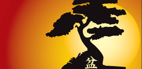 XVI Congresso Nazionale Istruttori Bonsai e Suiseki