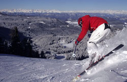 Snowboard, Telemark e Slalom. Da Carezza ad Obereggen, nella stagione 2012/2013, lo sport internazionale fa tappa in Val D’Ega 