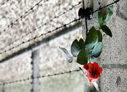 Per ricordare la deportazione degli ebrei romani a 70 anni dal 16 ottobre 1943. Roma, mercoledì 16 ottobre 2013