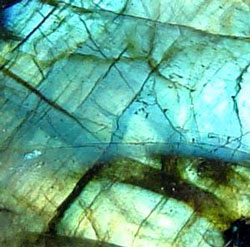 16ª Mostra di Minerali, Fossili, Conchiglie, Insetti.