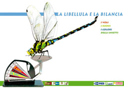 La libellula e la bilancia. Campogalliano (MO), dal 22 settembre al 9 dicembre 2012