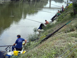 Campionato Nazionale Ferrovieri 2013. Pesca al colpo in acque dolci - II PROVA. Alessandria (Masio), fiume Tanaro, 21 settembre 2013