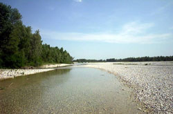 Le acque del Friuli: ambiente paesaggio natura