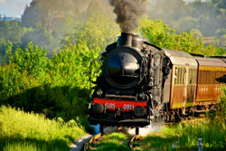 Il Treno dei Sapori: una domenica con il treno a vapore per assaporare storia, gastronomia, arte e natura nelle vallate aretine! Domenica 1 giugno 2014 Valdichiana